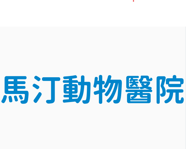 馬汀動物醫院圖片